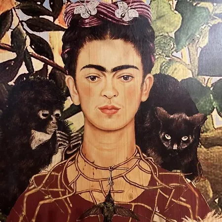 Viva Frida ! Jacuzzi Privatif *